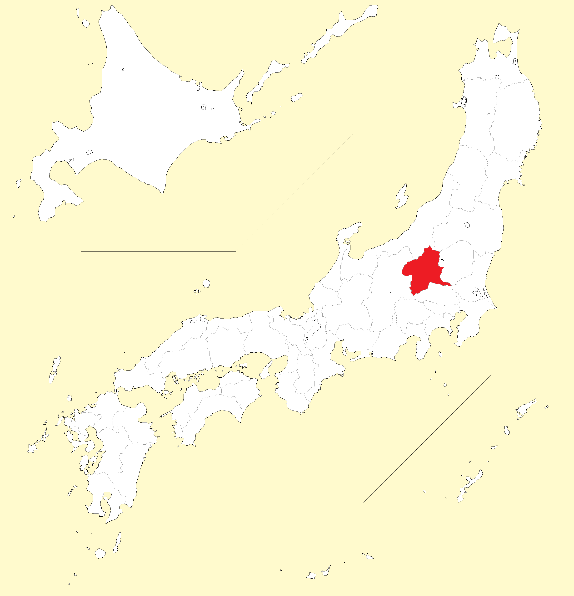 アンゴラ産　オオタマゾウムシ　21mm 楽天市場】サイエンステクニカラー ドイツ箱 マグネット